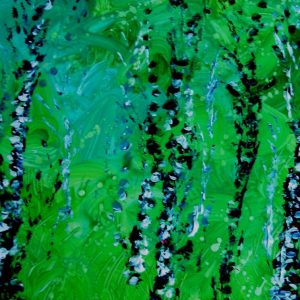 ...and silver birch, the oldest tree in Ireland... (Aft K.Daily)