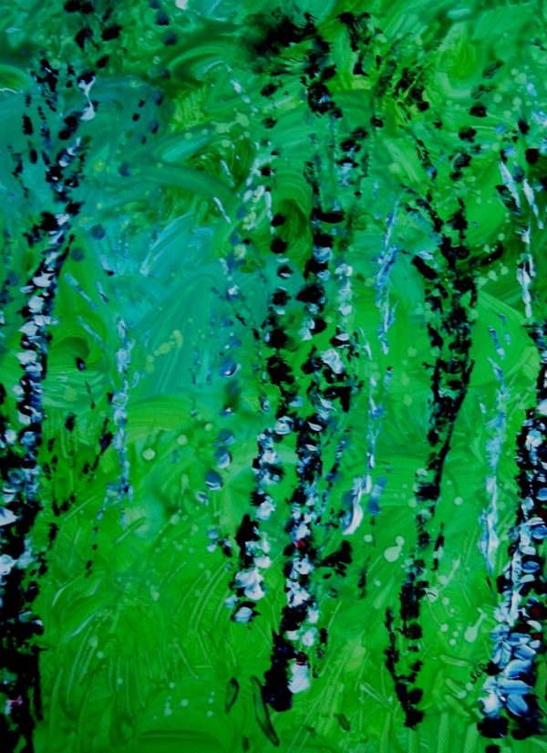 ...and silver birch, the oldest tree in Ireland... (Aft K.Daily)