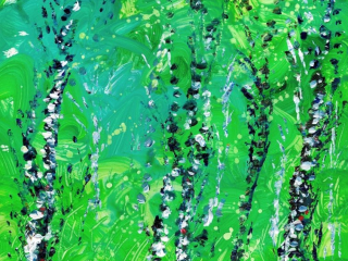 ...and silver birch, the oldest tree in Ireland (Aft K. Daily)