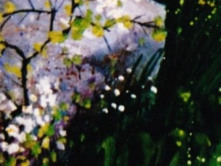 Draighe&aacute;n